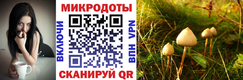 Купить закладки  Кохма  Псилоцибиновые грибы мухоморы 